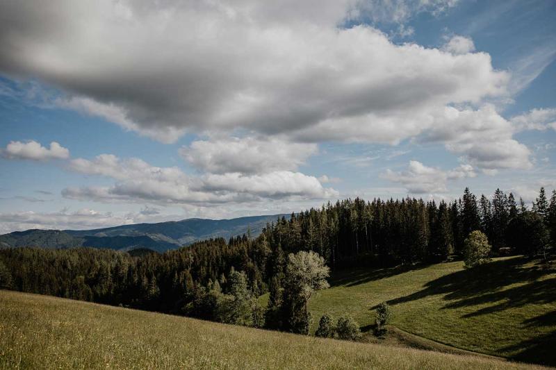 Die Landschaft um den Hof.